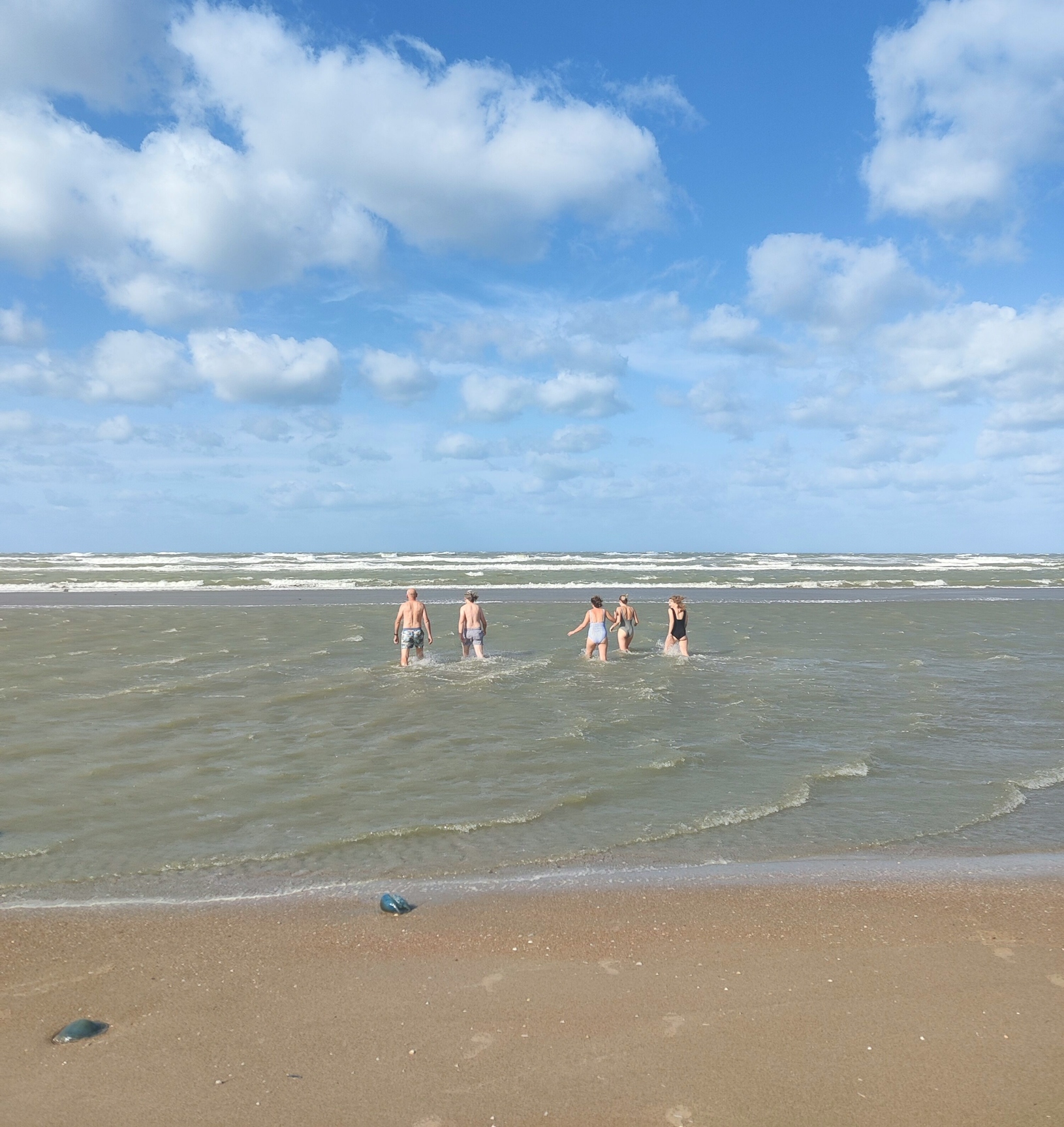 IMG 20251004 144909 edited