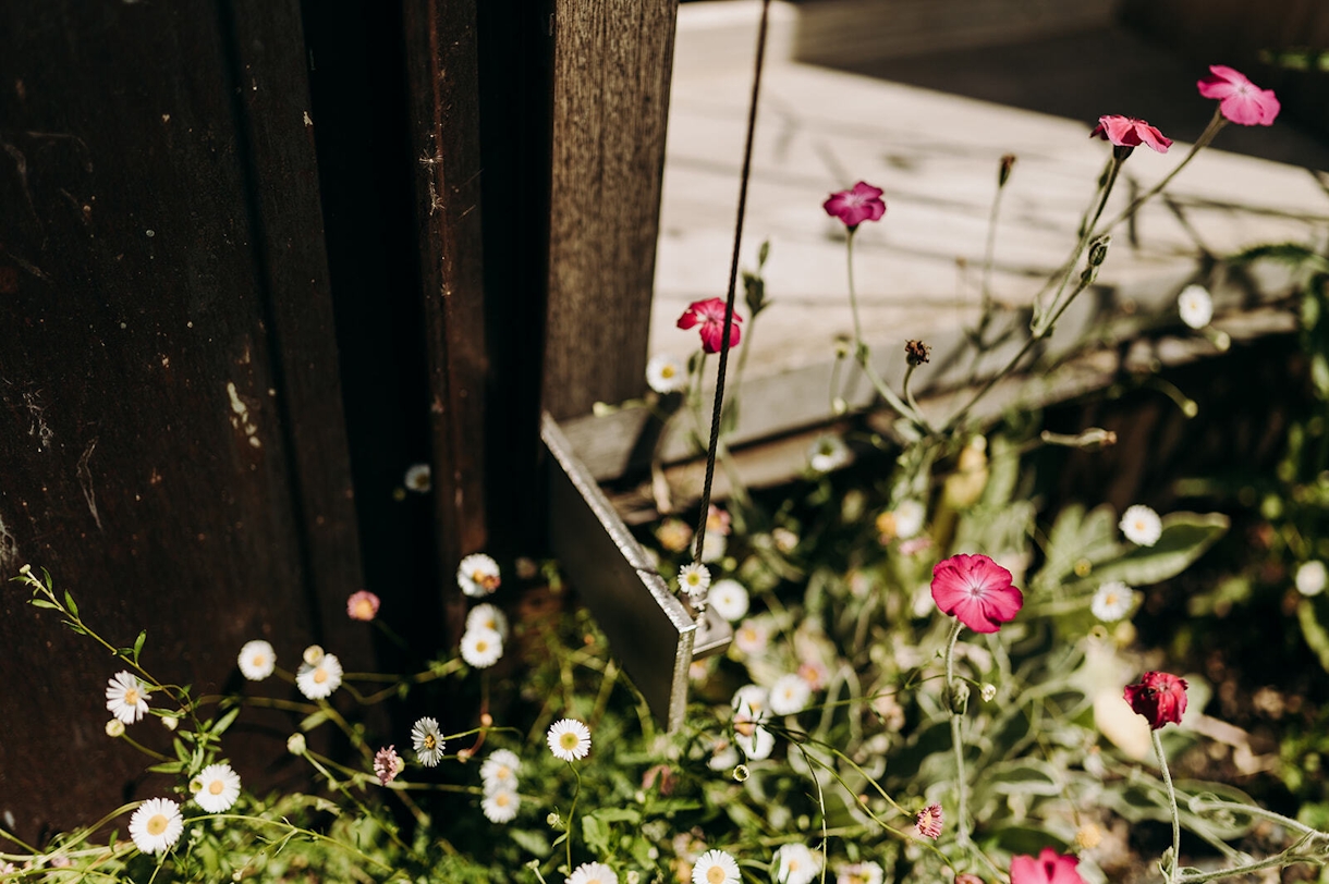 LICO c Karen Van der Biest 148