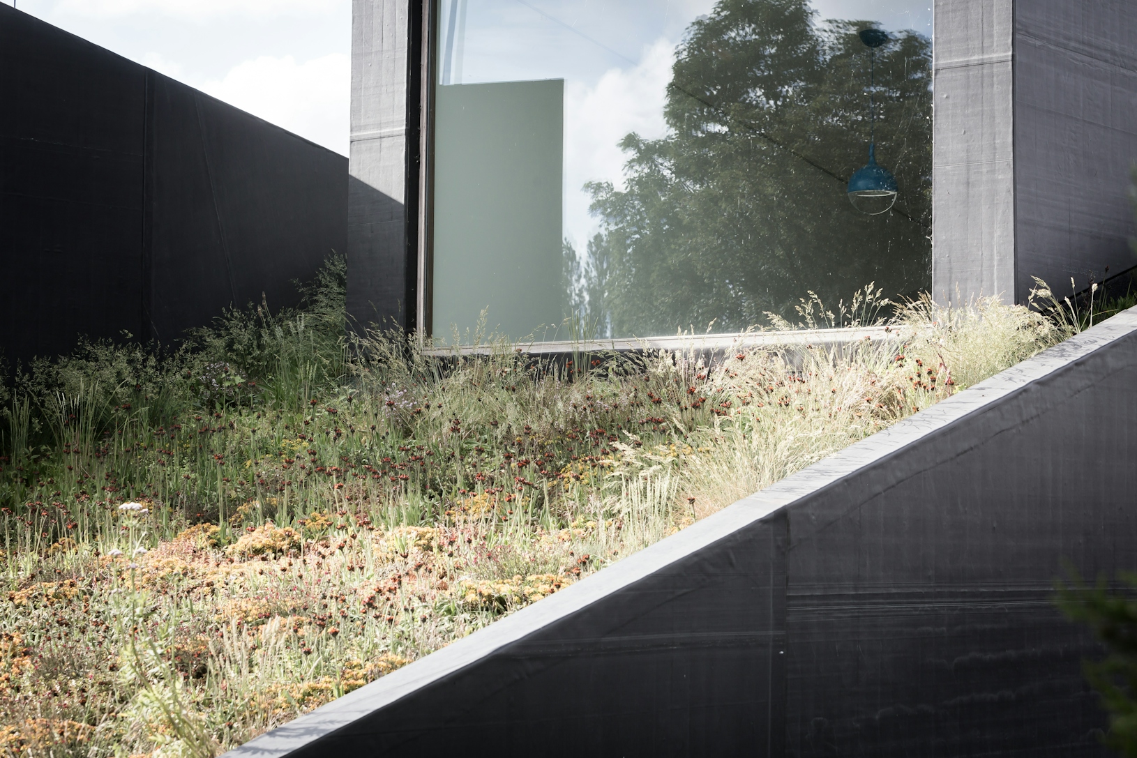 12018 Pi Bo picture16