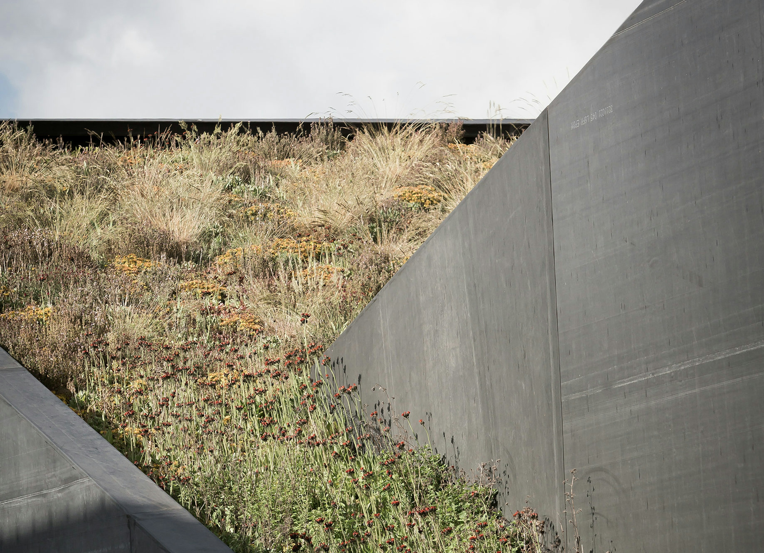 12018 Pi Bo picture2 f1597140123