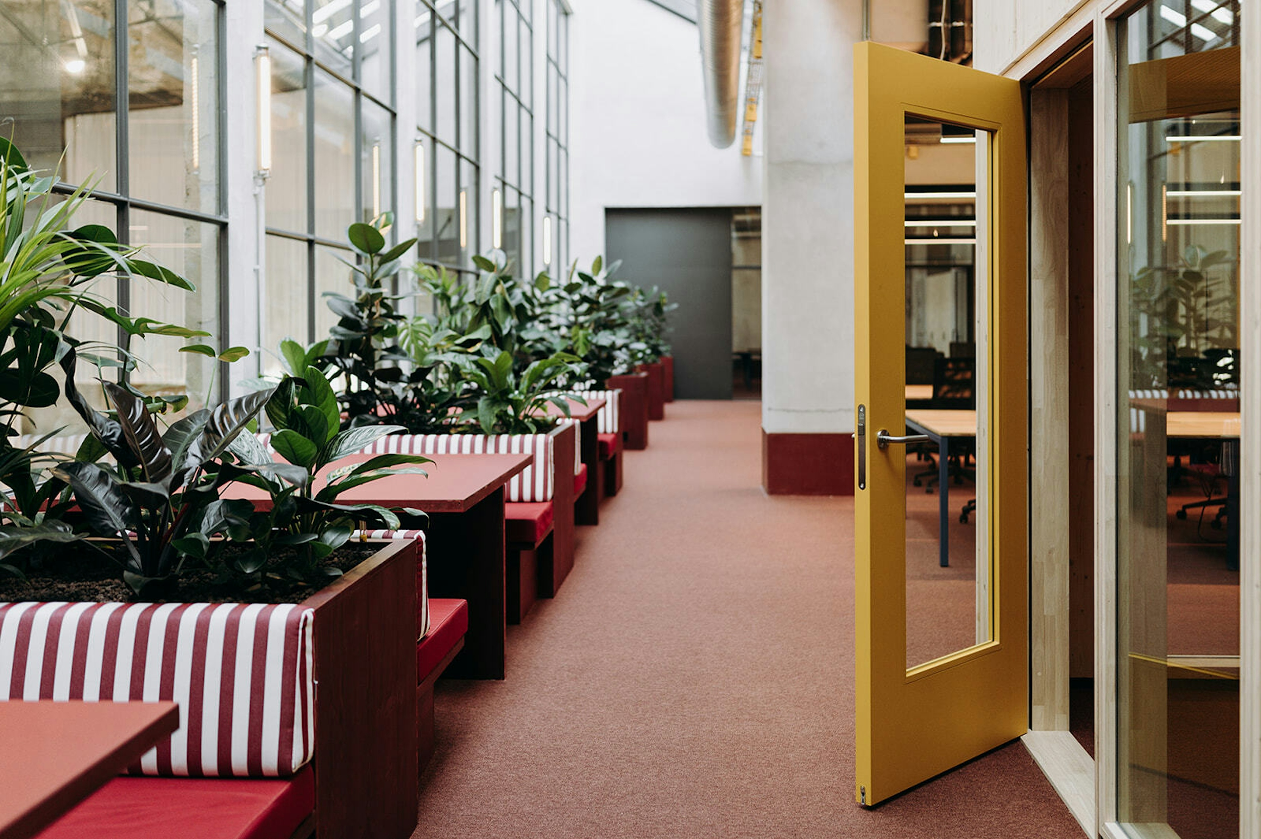 OYO wintercircus deel 2 c Karen Van der Biest 119